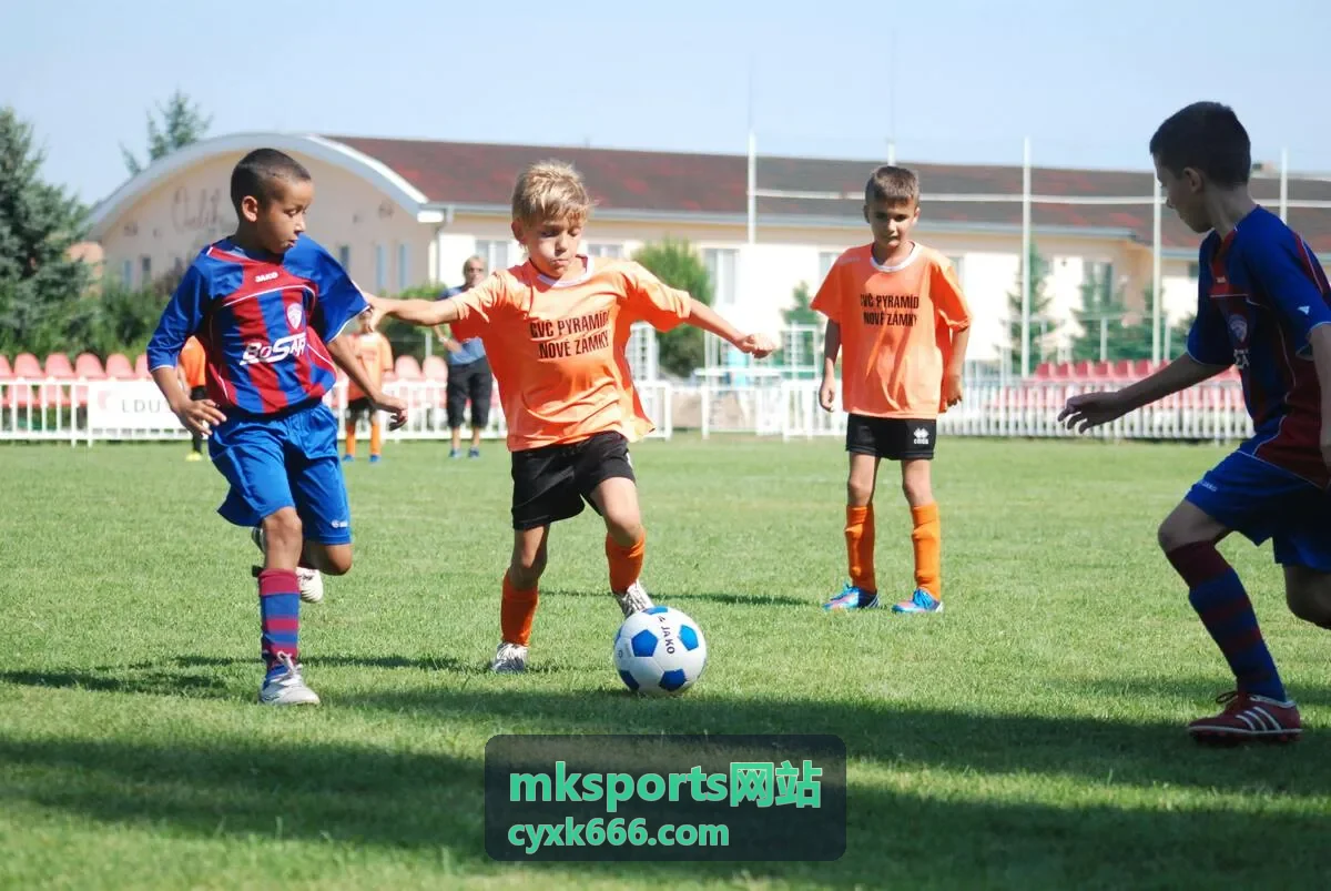 mksports网站数据字典与字段口径说明示意
